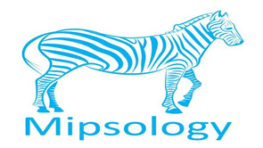 Mipsology与E-Elements签署亚太设计合作协议 基于FPGA的神经网络推理加速